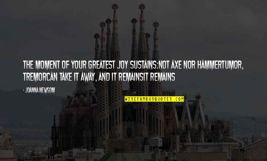 Organisationsnummer Quotes By Joanna Newsom: The moment of your greatest joy sustains:Not axe