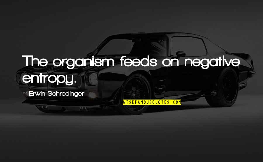 Organism Quotes By Erwin Schrodinger: The organism feeds on negative entropy.