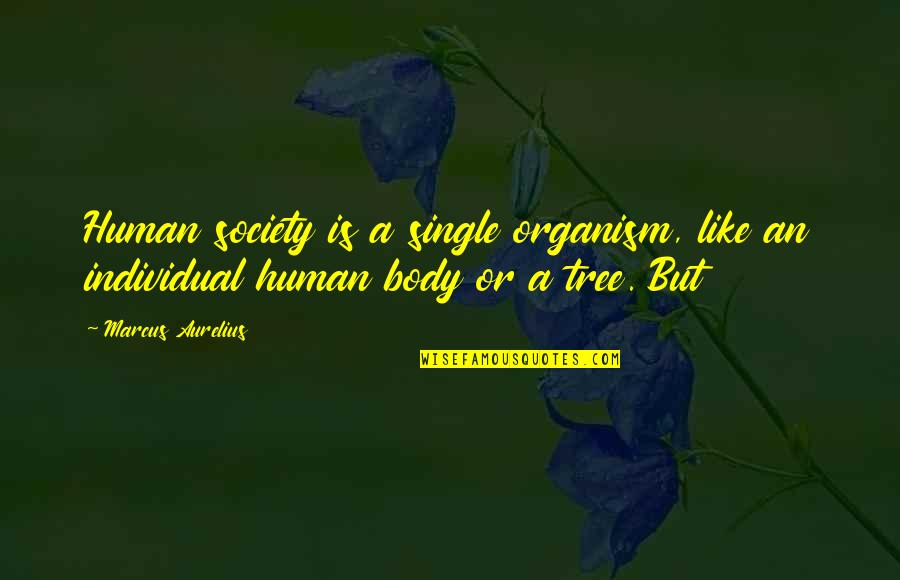 Organism Quotes By Marcus Aurelius: Human society is a single organism, like an