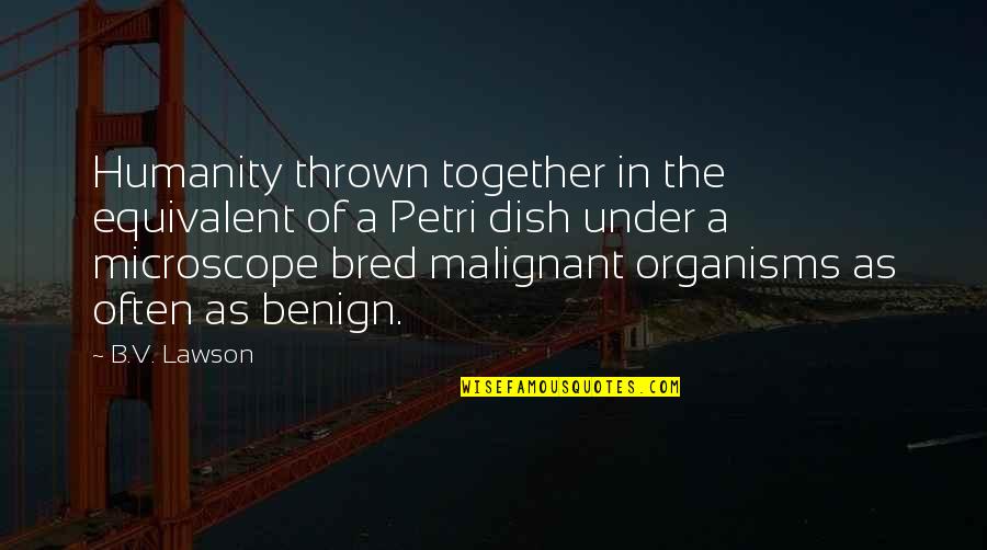 Organisms Quotes By B.V. Lawson: Humanity thrown together in the equivalent of a