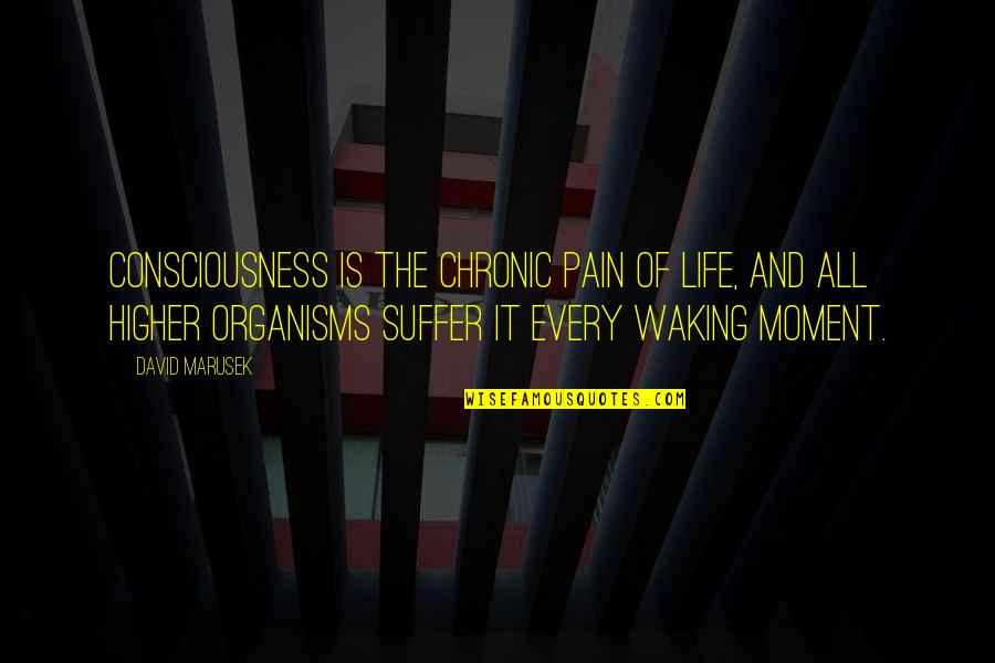 Organisms Quotes By David Marusek: Consciousness is the chronic pain of life, and