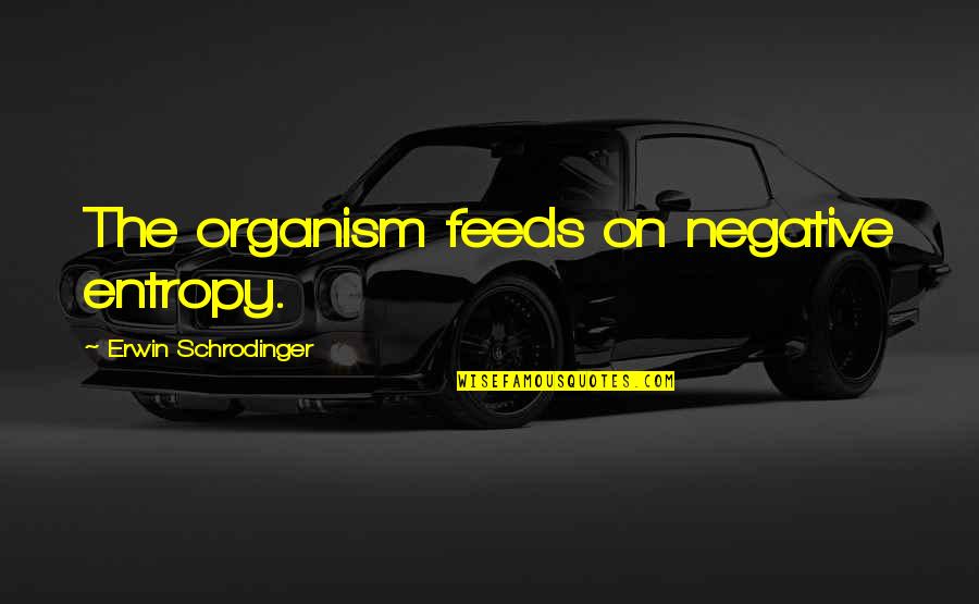 Organisms Quotes By Erwin Schrodinger: The organism feeds on negative entropy.