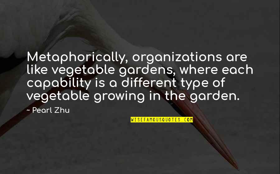 Organizations Quotes By Pearl Zhu: Metaphorically, organizations are like vegetable gardens, where each