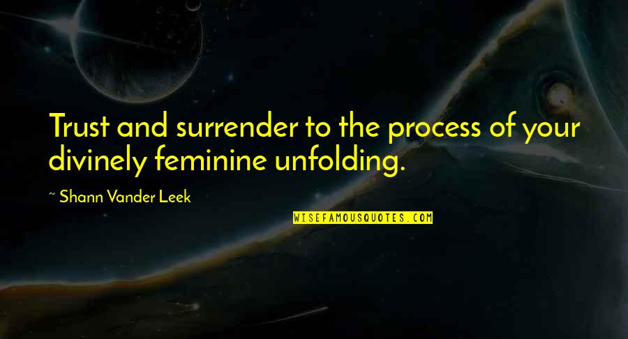 Organizology Quotes By Shann Vander Leek: Trust and surrender to the process of your