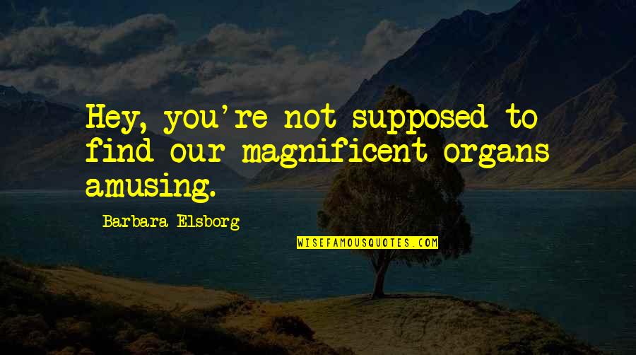 Organs Quotes By Barbara Elsborg: Hey, you're not supposed to find our magnificent Organs Quotes By Barbara Elsborg: Hey, you're not supposed to find our magnificent