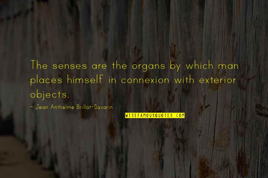 Organs Quotes By Jean Anthelme Brillat-Savarin: The senses are the organs by which man Organs Quotes By Jean Anthelme Brillat-Savarin: The senses are the organs by which man