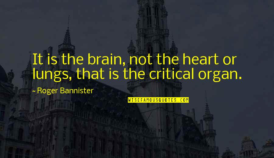 Organs Quotes By Roger Bannister: It is the brain, not the heart or Organs Quotes By Roger Bannister: It is the brain, not the heart or