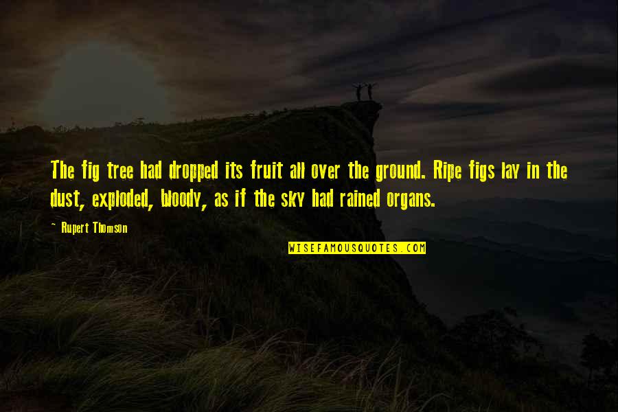 Organs Quotes By Rupert Thomson: The fig tree had dropped its fruit all Organs Quotes By Rupert Thomson: The fig tree had dropped its fruit all