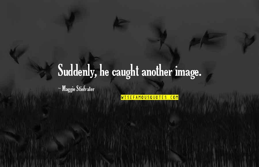 Organulos Quotes By Maggie Stiefvater: Suddenly, he caught another image.