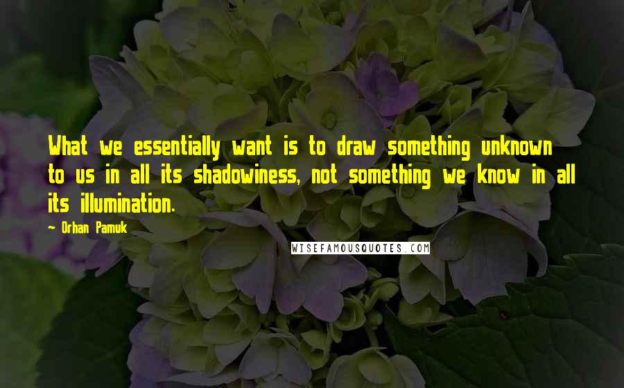 Orhan Pamuk quotes: What we essentially want is to draw something unknown to us in all its shadowiness, not something we know in all its illumination.