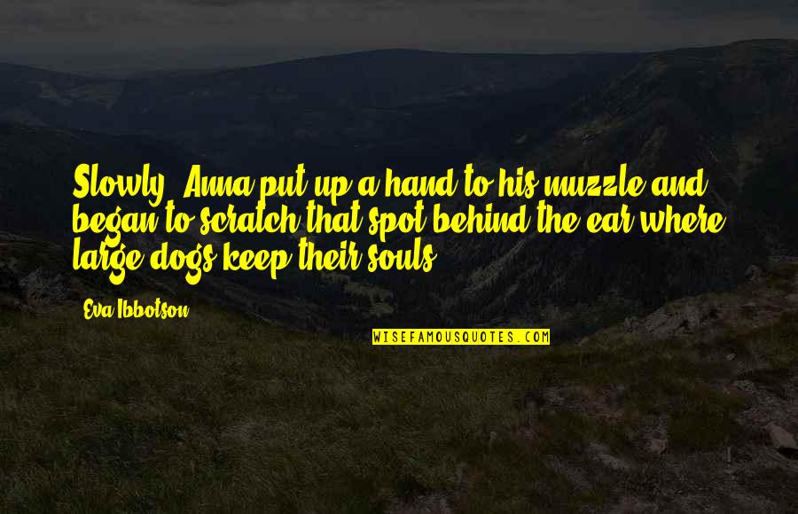 Orientale Lumen Quotes By Eva Ibbotson: Slowly, Anna put up a hand to his Orientale Lumen Quotes By Eva Ibbotson: Slowly, Anna put up a hand to his