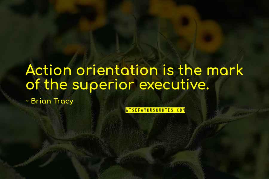Orientation's Quotes By Brian Tracy: Action orientation is the mark of the superior