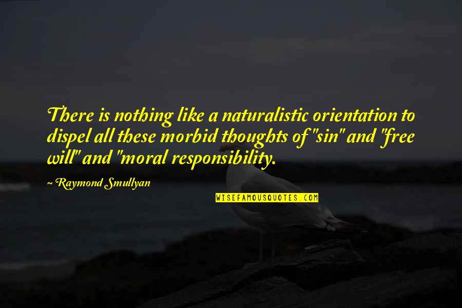 Orientation's Quotes By Raymond Smullyan: There is nothing like a naturalistic orientation to