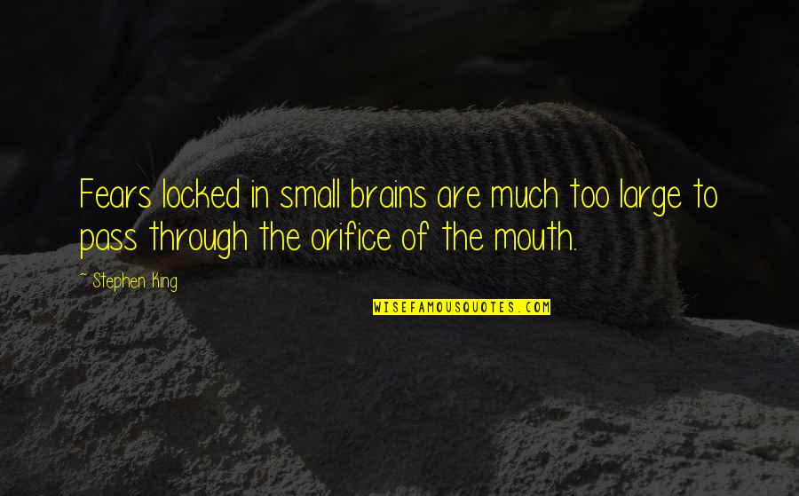 Orifice Quotes By Stephen King: Fears locked in small brains are much too