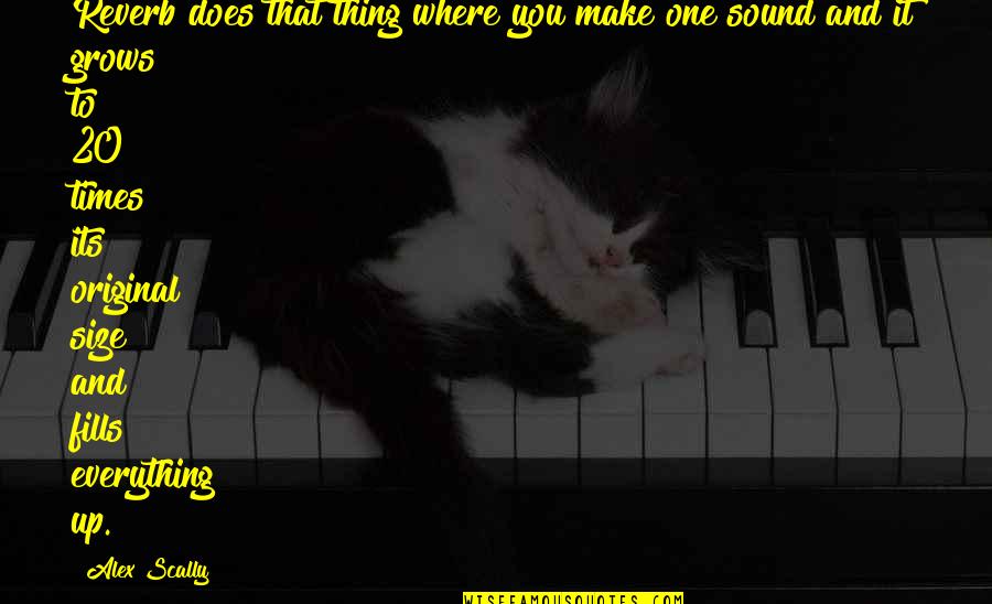 Original One Quotes By Alex Scally: Reverb does that thing where you make one Original One Quotes By Alex Scally: Reverb does that thing where you make one
