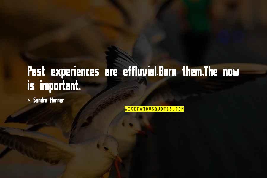 Originalitatea Quotes By Sandra Harner: Past experiences are effluvial.Burn them.The now is important. Originalitatea Quotes By Sandra Harner: Past experiences are effluvial.Burn them.The now is important.