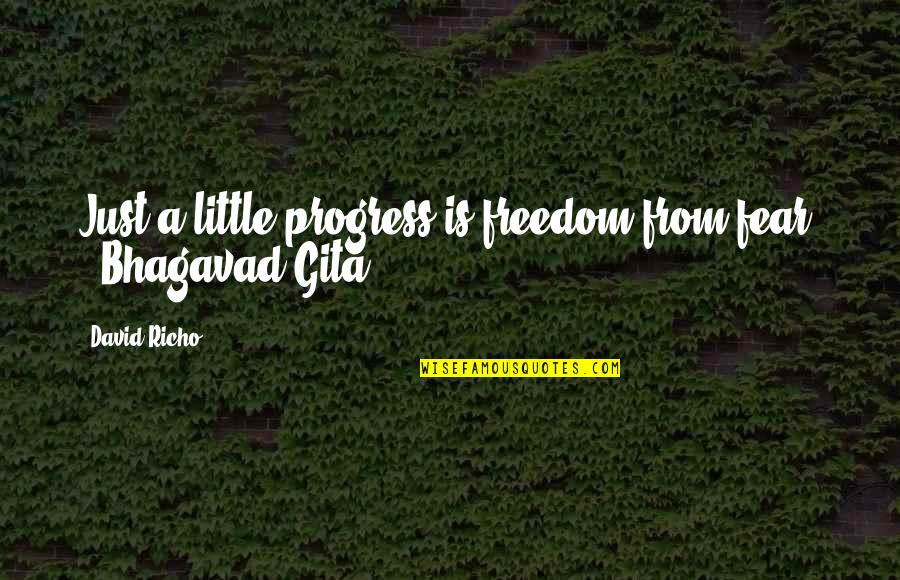 Orimha Quotes By David Richo: Just a little progress is freedom from fear.