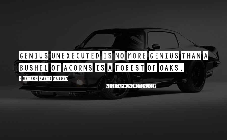 Orison Swett Marden quotes: Genius unexecuted is no more genius than a bushel of acorns is a forest of oaks.