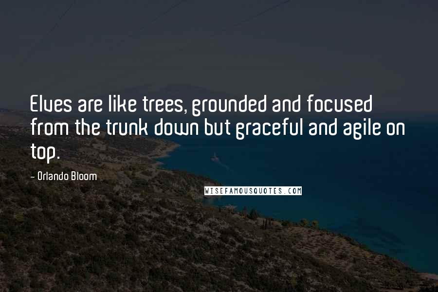 Orlando Bloom quotes: Elves are like trees, grounded and focused from the trunk down but graceful and agile on top.