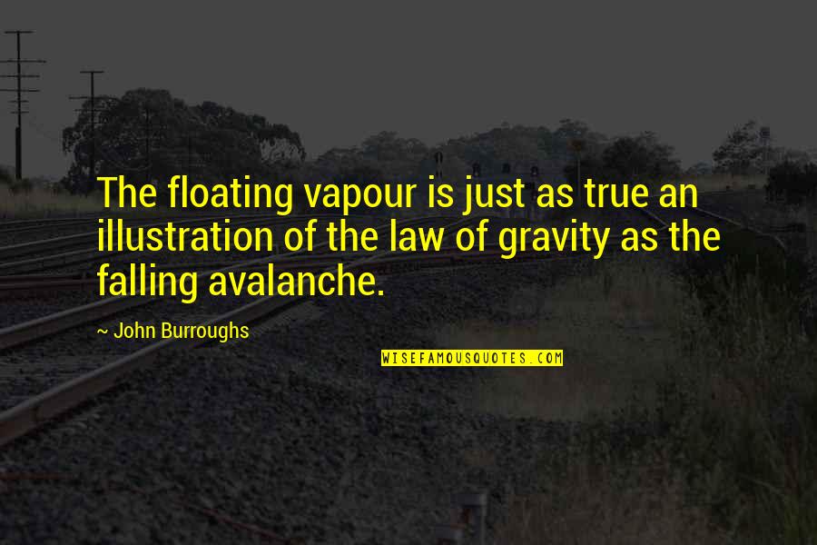 Orlando Tilda Swinton Quotes By John Burroughs: The floating vapour is just as true an