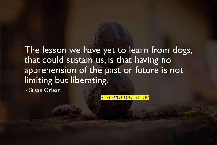 Orlean Quotes By Susan Orlean: The lesson we have yet to learn from