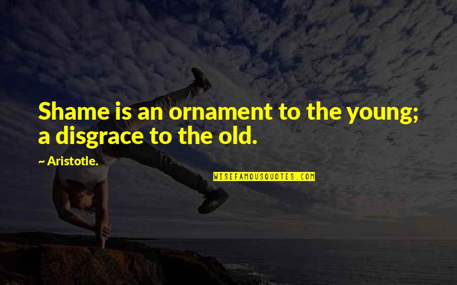 Ornaments Quotes By Aristotle.: Shame is an ornament to the young; a
