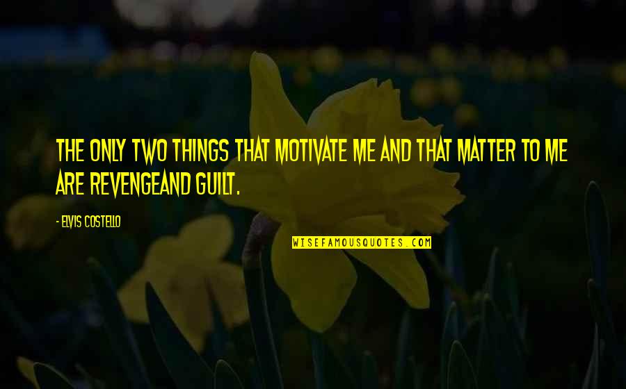 Ornithology Exchange Quotes By Elvis Costello: The only two things that motivate me and