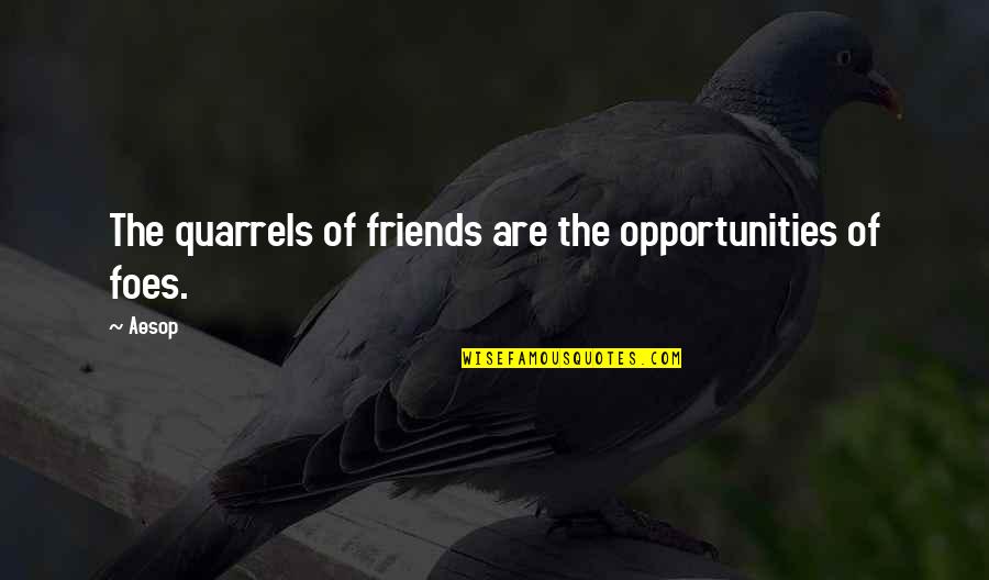 Orologi Uomo Quotes By Aesop: The quarrels of friends are the opportunities of
