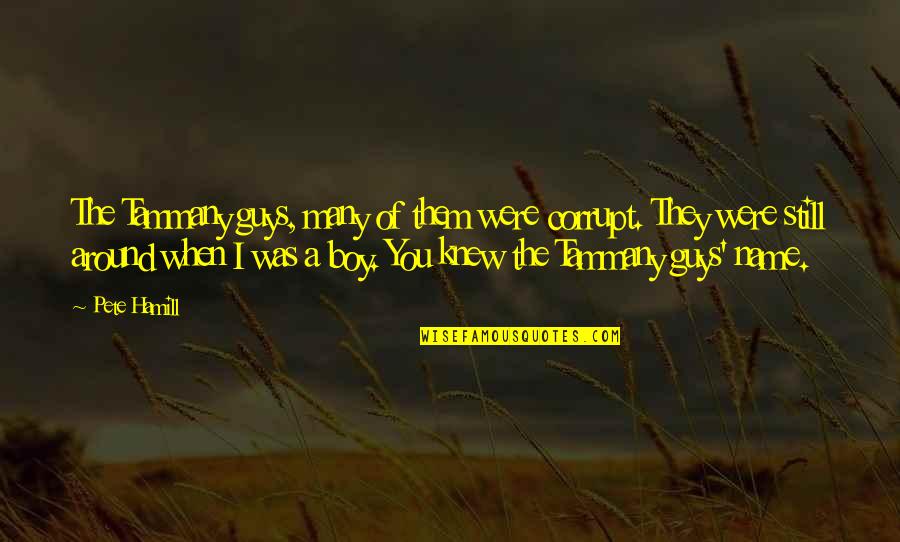Oropeza Chiropractic Key Quotes By Pete Hamill: The Tammany guys, many of them were corrupt.