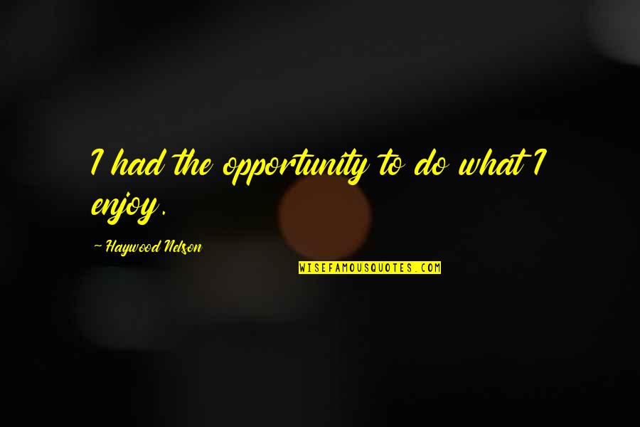Orospu Ne Quotes By Haywood Nelson: I had the opportunity to do what I