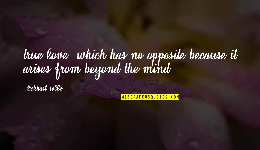 Orotund Roblox Quotes By Eckhart Tolle: true love, which has no opposite because it