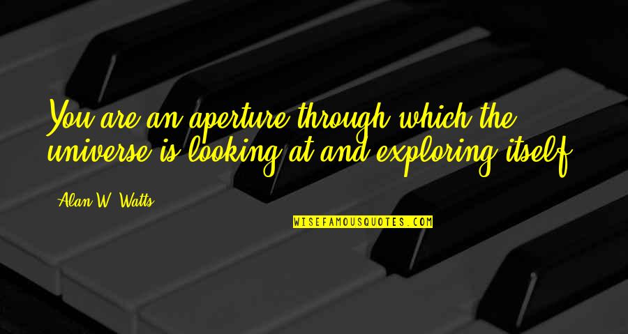 Orphanage Quotes By Alan W. Watts: You are an aperture through which the universe