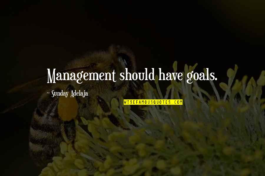 Orrantia Mansion Quotes By Sunday Adelaja: Management should have goals.