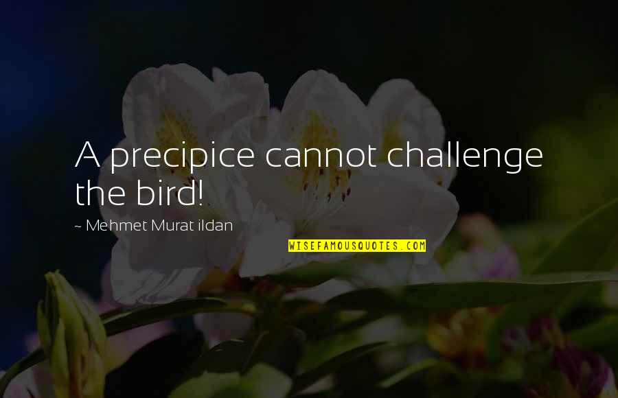 Orrik Quotes By Mehmet Murat Ildan: A precipice cannot challenge the bird!