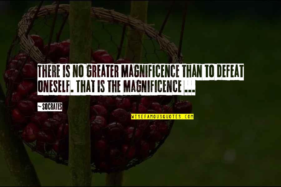 Orsinis Appliances Quotes By Socrates: There is no greater magnificence than to defeat