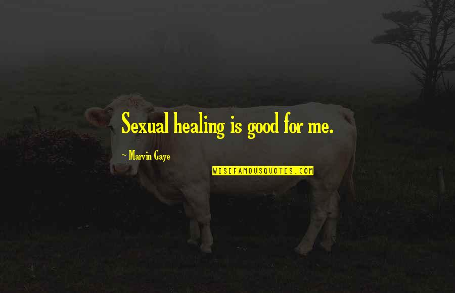 Orsola De Castro Quotes By Marvin Gaye: Sexual healing is good for me.