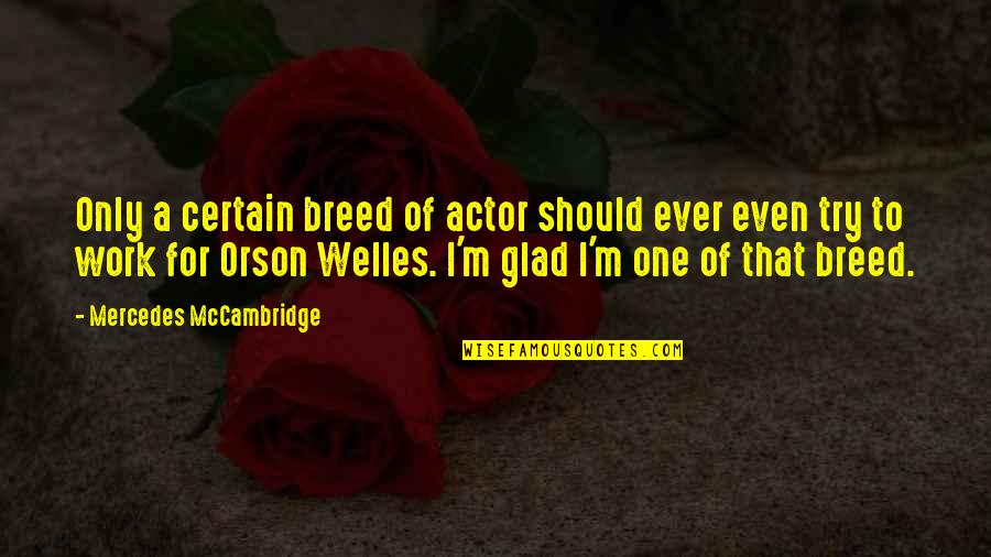 Orson Quotes By Mercedes McCambridge: Only a certain breed of actor should ever