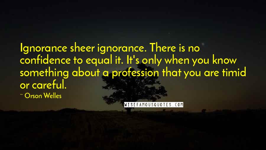 Orson Welles quotes: Ignorance sheer ignorance. There is no confidence to equal it. It's only when you know something about a profession that you are timid or careful.