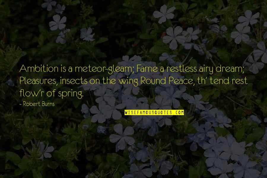 Orsz Gh V Sz Mok List Ja Quotes By Robert Burns: Ambition is a meteor-gleam; Fame a restless airy Orsz Gh V Sz Mok List Ja Quotes By Robert Burns: Ambition is a meteor-gleam; Fame a restless airy