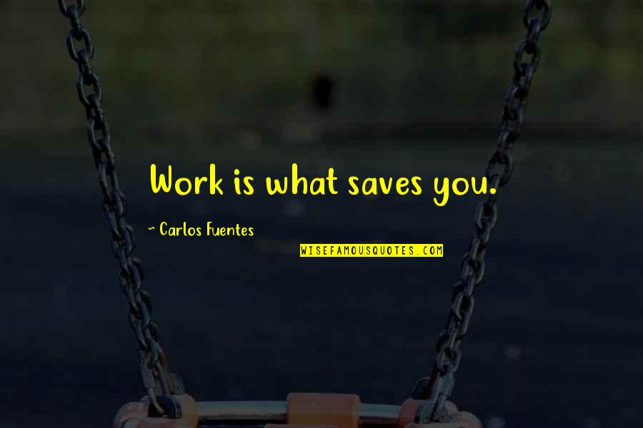 Ortho Kauai Quotes By Carlos Fuentes: Work is what saves you.