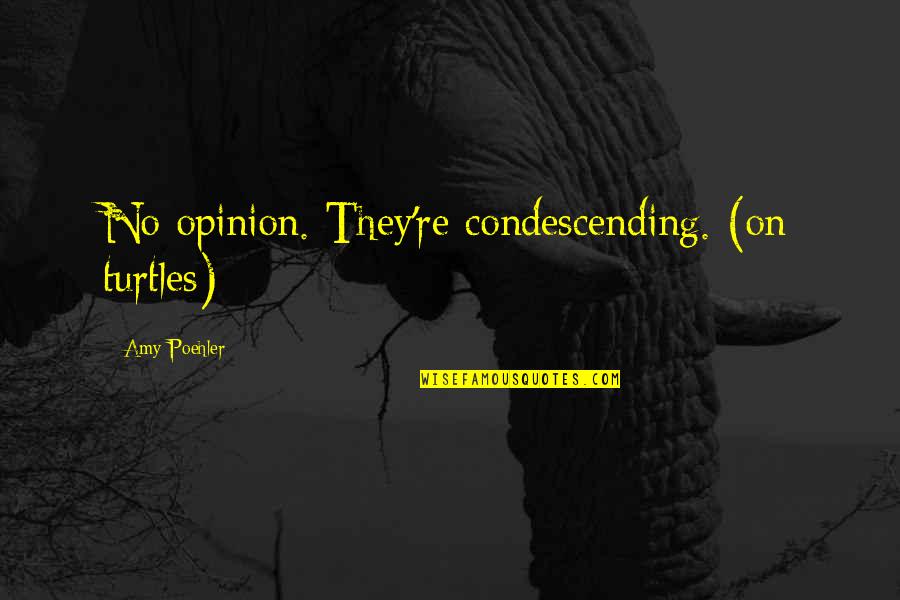 Orthodox St Xenia Quotes By Amy Poehler: No opinion. They're condescending. (on turtles)