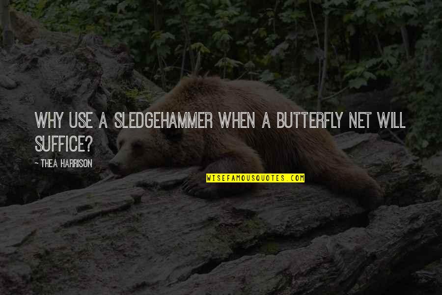 Orthopaedic Specialists Quotes By Thea Harrison: Why use a sledgehammer when a butterfly net Orthopaedic Specialists Quotes By Thea Harrison: Why use a sledgehammer when a butterfly net
