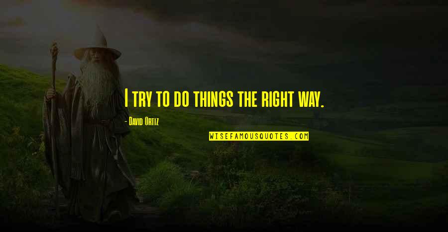 Ortiz's Quotes By David Ortiz: I try to do things the right way.