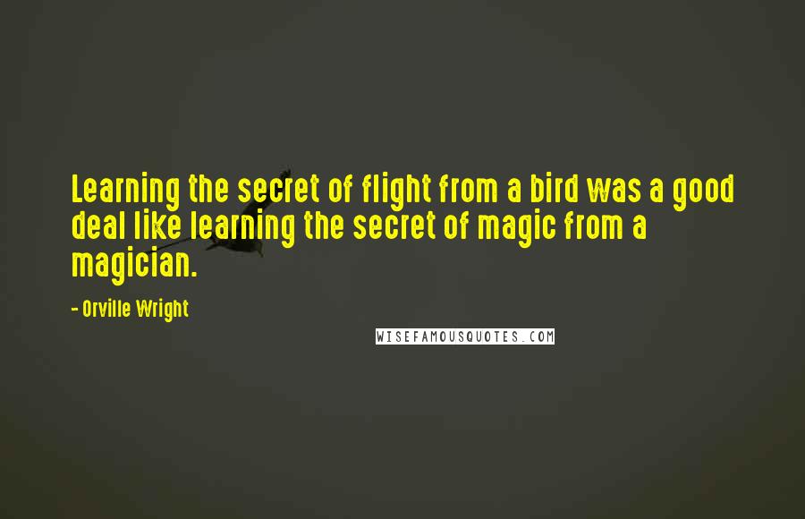Orville Wright quotes: Learning the secret of flight from a bird was a good deal like learning the secret of magic from a magician. Orville Wright quotes: Learning the secret of flight from a bird was a good deal like learning the secret of magic from a magician.