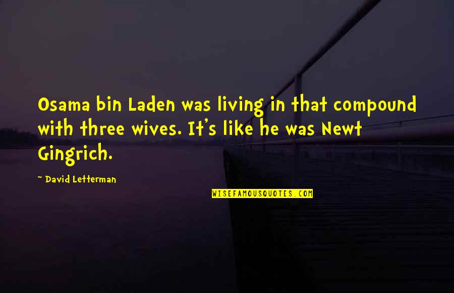 Osama Bin Laden Quotes By David Letterman: Osama bin Laden was living in that compound