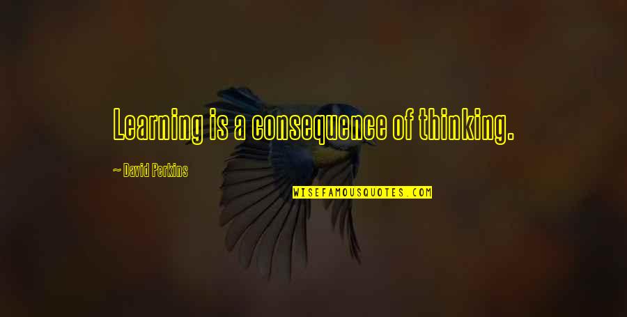 Osayande Baruti Quotes By David Perkins: Learning is a consequence of thinking. Osayande Baruti Quotes By David Perkins: Learning is a consequence of thinking.