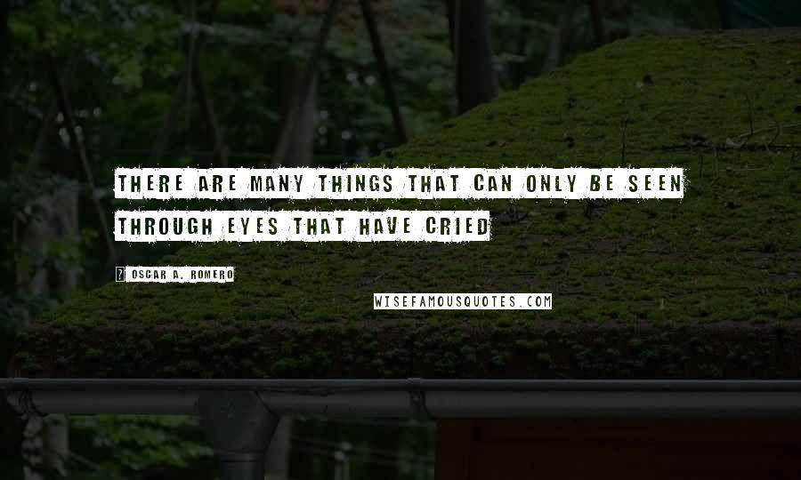 Oscar A. Romero quotes: There are many things that can only be seen through eyes that have cried