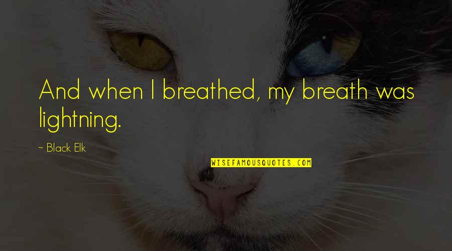 Oshasha Quotes By Black Elk: And when I breathed, my breath was lightning. Oshasha Quotes By Black Elk: And when I breathed, my breath was lightning.