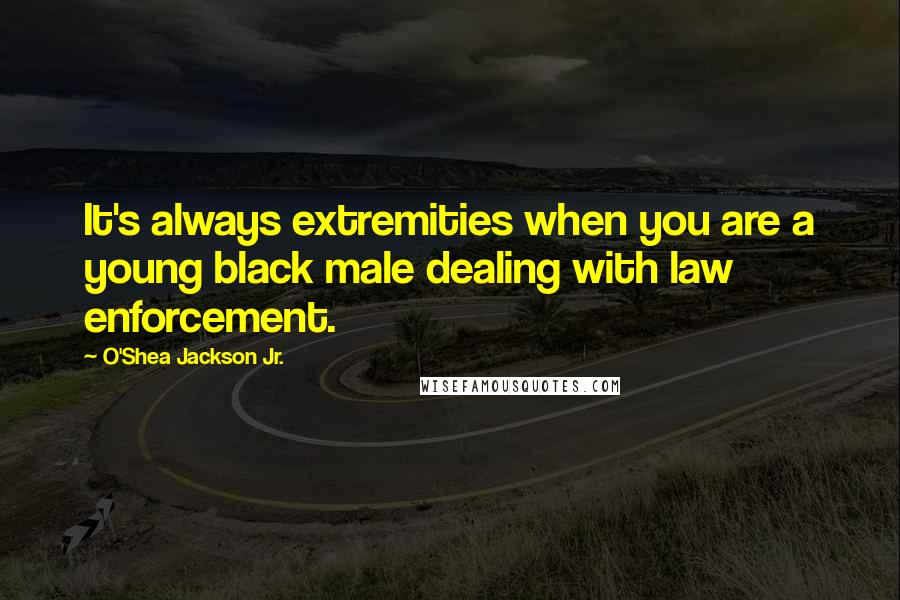 O'Shea Jackson Jr. quotes: It's always extremities when you are a young black male dealing with law enforcement.