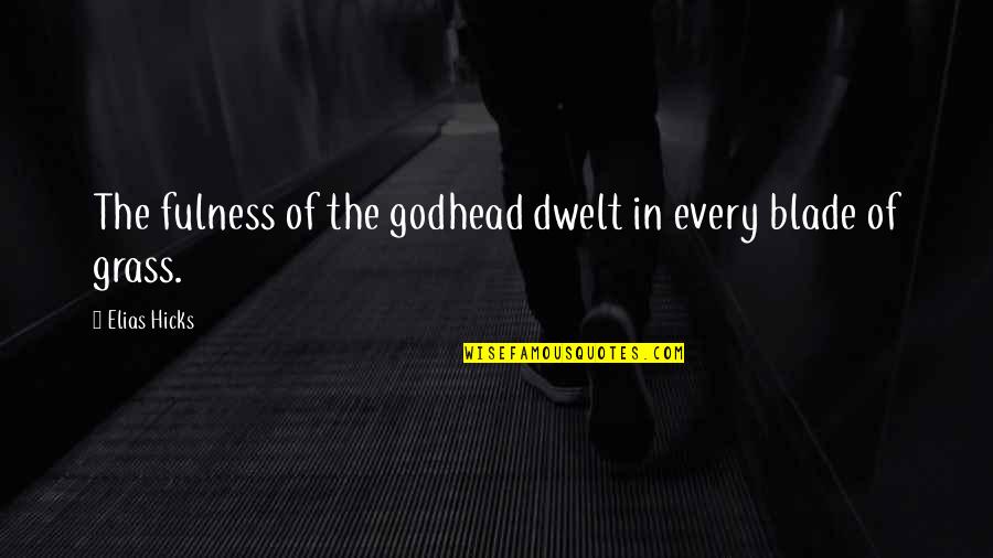 Oshins Of Smiles Quotes By Elias Hicks: The fulness of the godhead dwelt in every